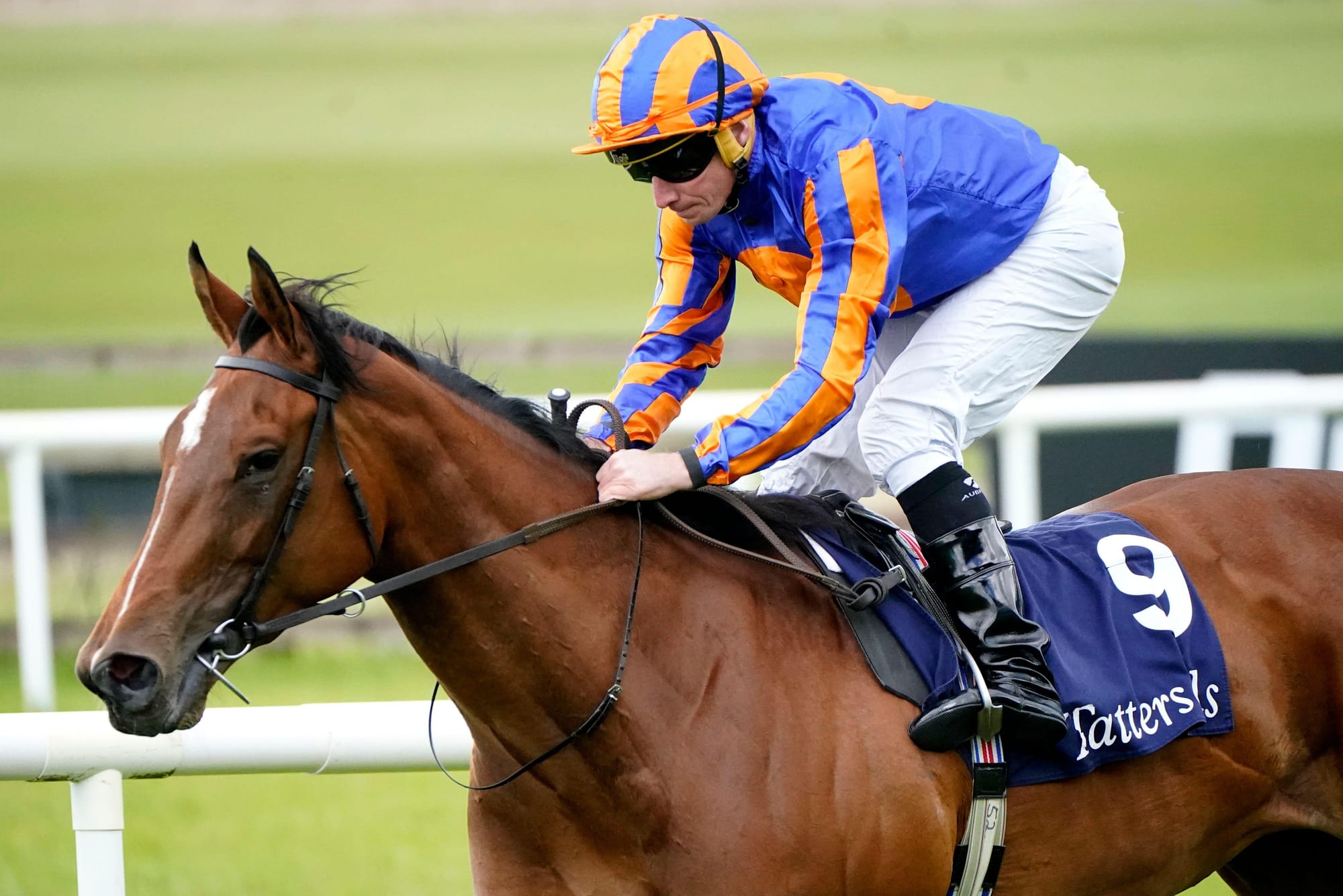 Frankel's May 25th Group 1 double confirmed his top spot... again