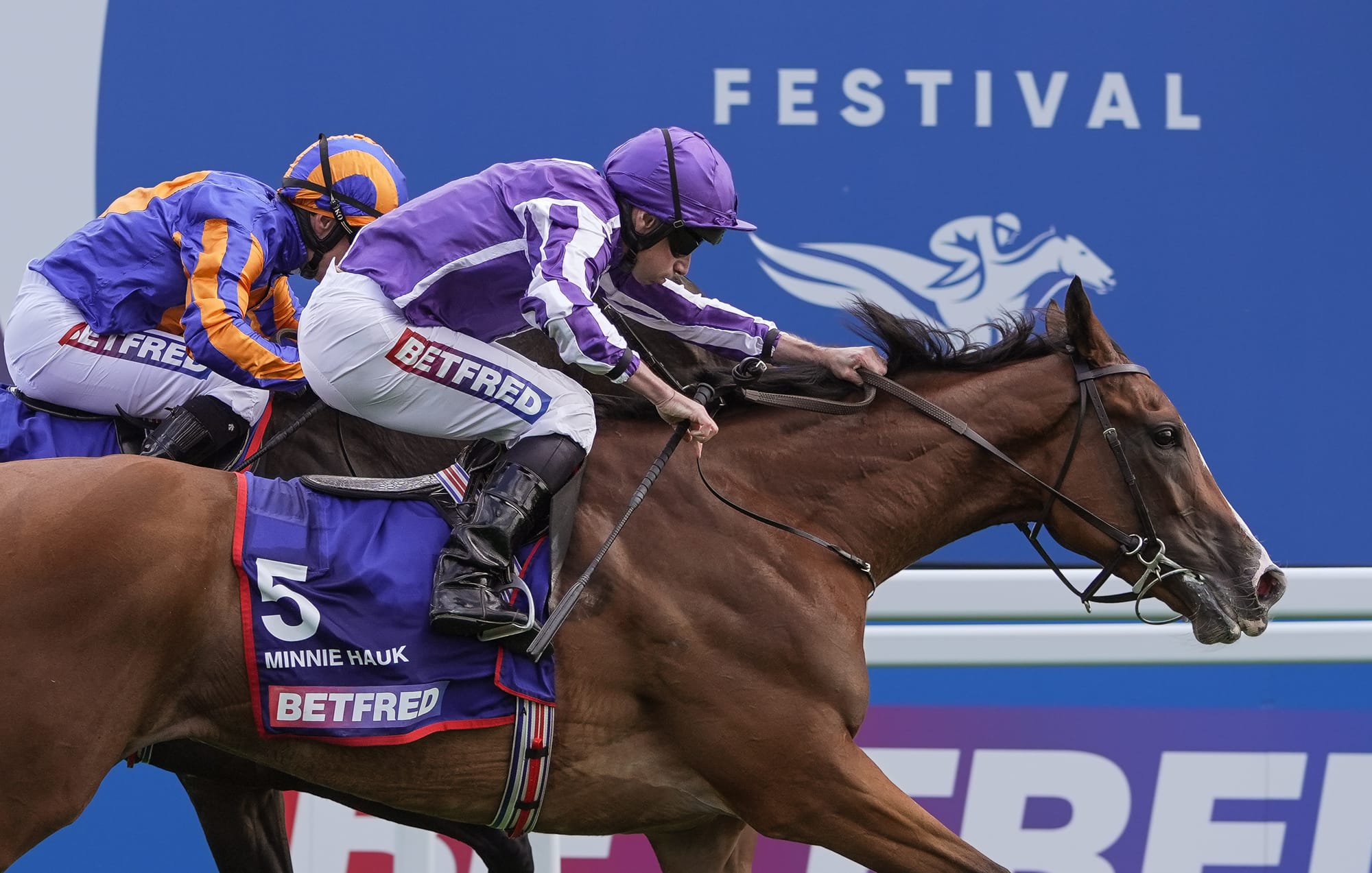 A good middle-distance sire is key for a three-year-old to win a 1m4f Classic in June...