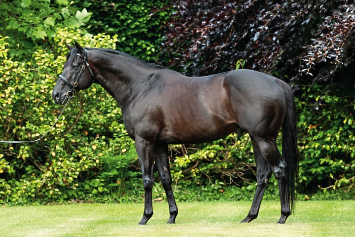 Wootton Bassett: could he be a new Mr. Prospector?